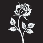 The-Black-Rose-Collection