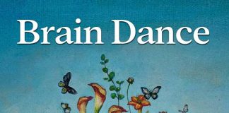 Brain-Dance-Book-Cover