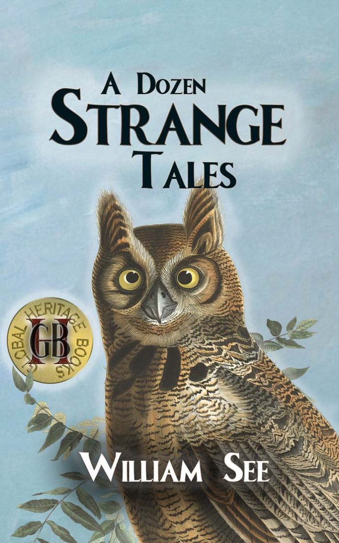 William-A-See-A-Dozen-Strange-Tales-Book-Cover